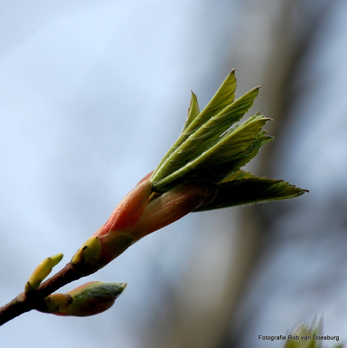 Today's Walk ! #HappyTuesday #TwitterArt #Photography #Fotografie