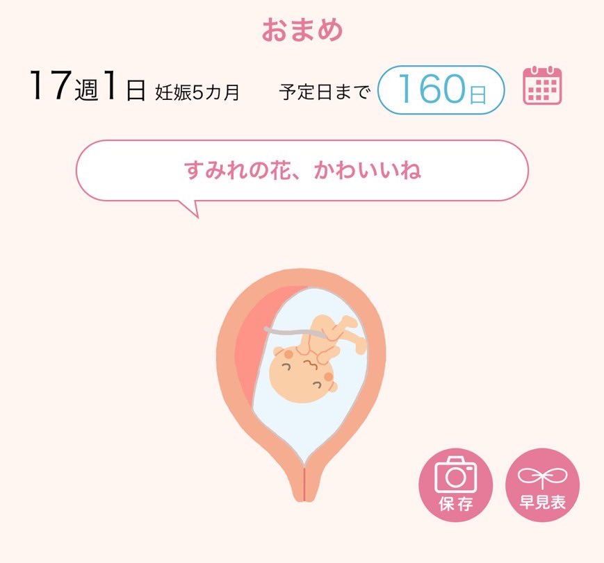 あっくん™︎🐈🍌 tweet media