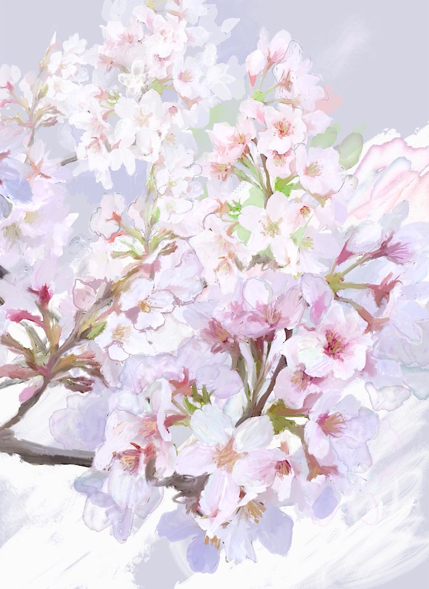 「color sketch 」|SRMのイラスト