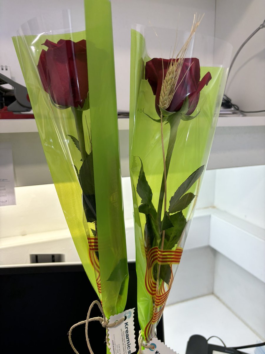 VirusLabQ's tweet image. Feliç dia de Sant Jordi!!🌹🐉🤗