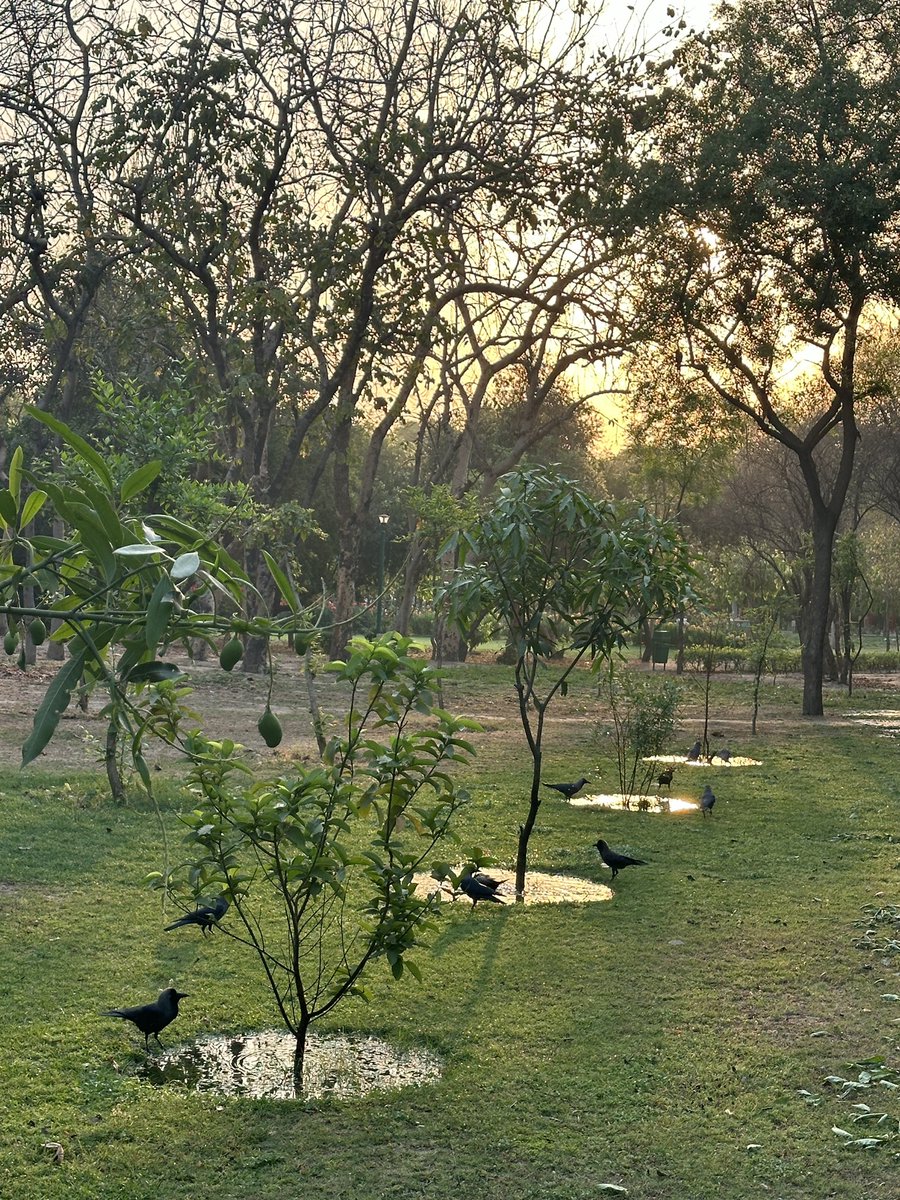 christinedelhi's tweet photo. Have you exercised today?
As Delhi gets steadily hotter by the day, my morning alarm goes off earlier as well.
#thisis70
#adaptandsurvive
#india #delhi #summer #runner https://t.co/cUkOqCAO1h
