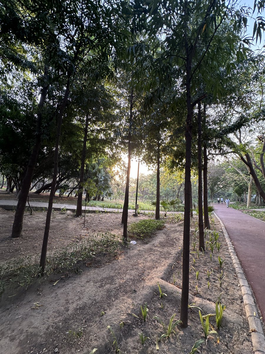 christinedelhi's tweet photo. Have you exercised today?
As Delhi gets steadily hotter by the day, my morning alarm goes off earlier as well.
#thisis70
#adaptandsurvive
#india #delhi #summer #runner https://t.co/cUkOqCAO1h