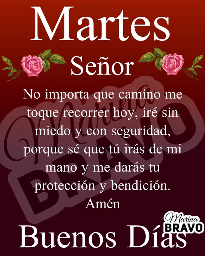 Sebastián Garcia Guerrero tweet media