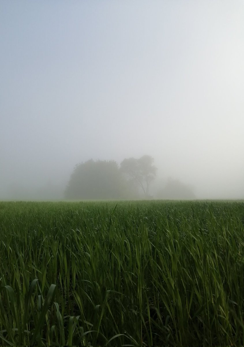 jumpinkcow's tweet photo. #Ukraine
#misty https://t.co/YPlUBjzLTw
