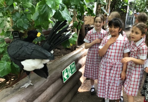 PipersCornerSch's tweet photo. #PipersScience was brought to life for our Year 2 and 3 students when they visited the @livrainforest
This valuable trip not only allowed the two year groups to bond over shared learning but the 'Edible Forest Tour' cemented their studies on sustainability and the food chain, encouraging them to think about the broader impact of the rainforests on our world.
You can read more about their experience here: https://t.co/ozguderQ7V
#PipersPrep #PipersPrePrep #PipersHOPE