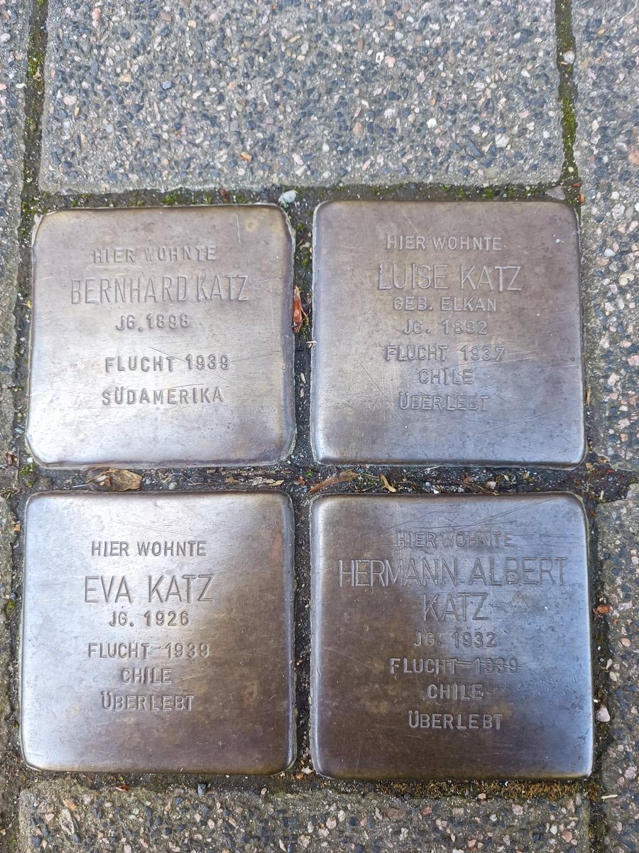 Bei den ganzen schlimmem Nachrichten zurzeit hat der Dino heute einen 'erfreulichen' Fund gemacht. Stolpersteine der Familie Katz. Alle haben die Flucht geschafft und überlebt. Ich wünschte das wäre häufiger so gewesen.

#StopAntisemitism 
#niewieder