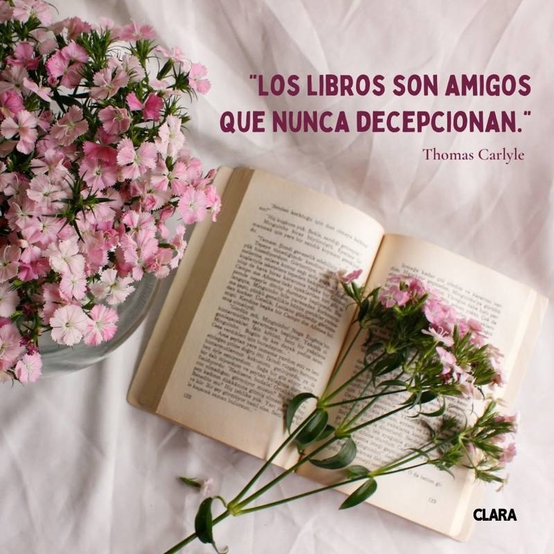 “La lectura de un buen libro es un diálogo incesante en que el libro habla y el alma contesta.” André Maurois #FelizDiaDelLibro #DiaDelLibro #LectorAdicto 😎🤓 #MediaNerd 😊✨💫✨😊🤣