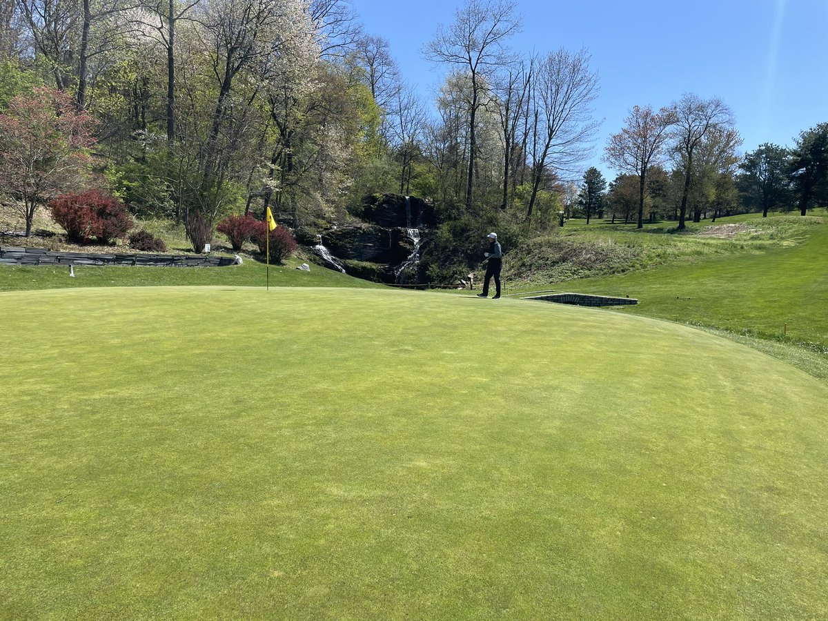 Pocono Turfgrass tweet media