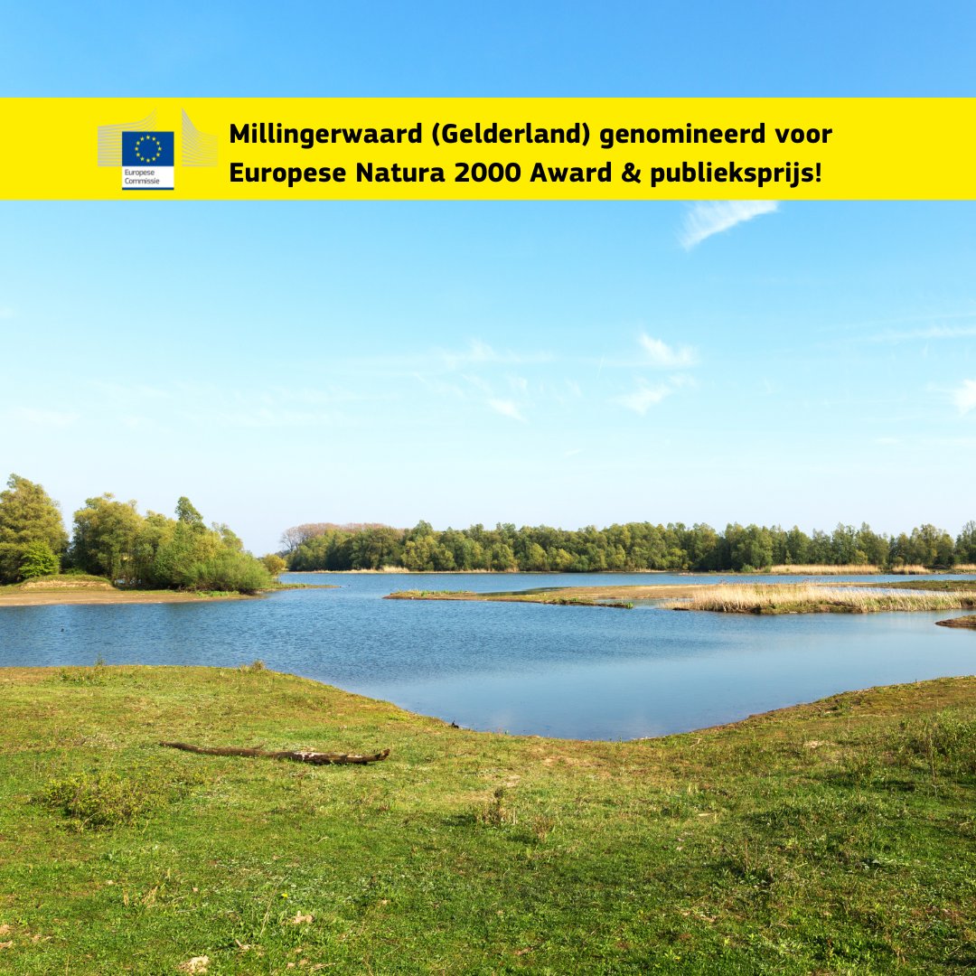 #Millingerwaard (Gelderland) is genomineerd voor Europese #Natura2000 Award & publieksprijs! Dit project, gericht op natuurontwikkeling, hoogwaterveiligheid & recreatie, verdient jouw stem. Stemmen kan tot 25 april. Ontdek meer over dit initiatief! 👉tinyurl.com/mrx67a95