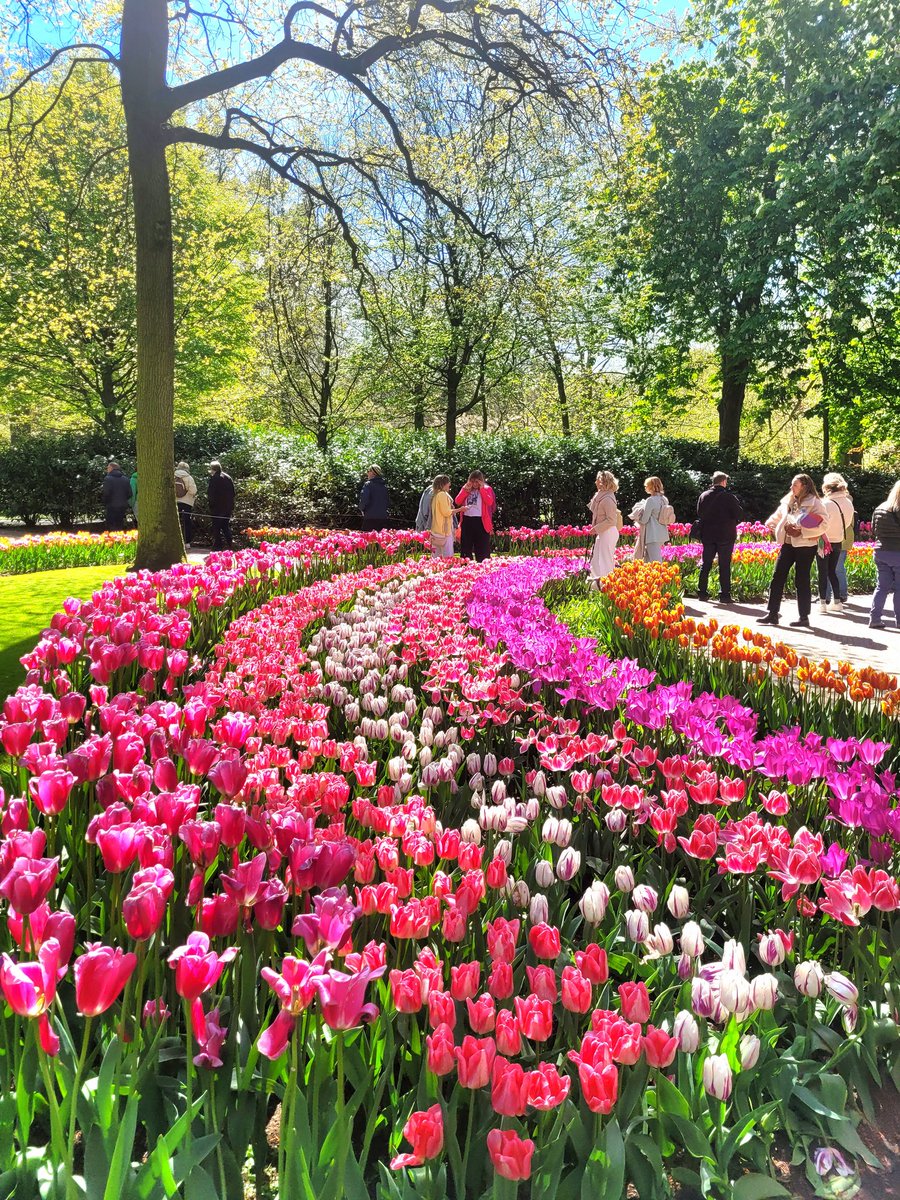 Keukenhof Garden, Holland 
Today