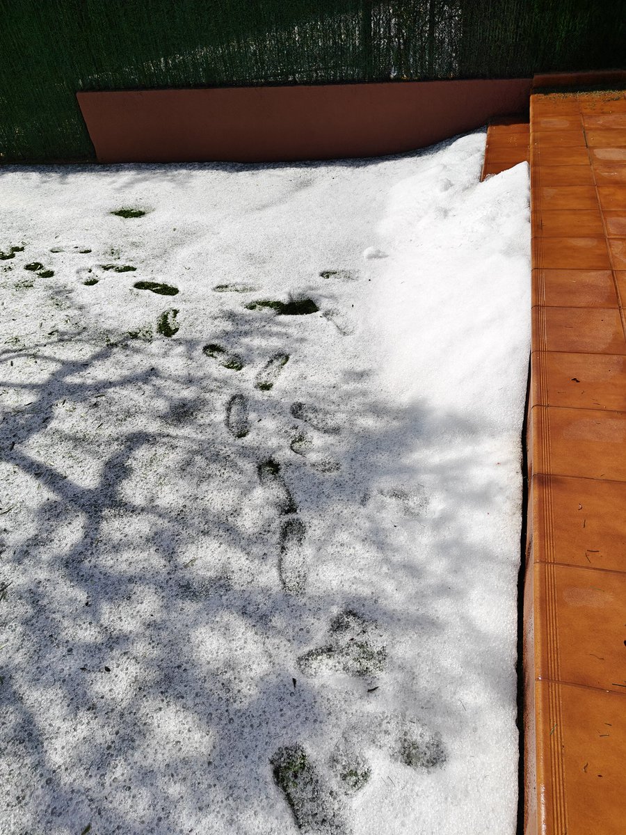 martarj27's tweet photo. L'endemà de la calamarsada a #Altafulla a casa i a l'entrada de l'escola.
@eltempsTV3 @P4Estacions @tac12_tv @meteocat https://t.co/Ox7HcM4rkA