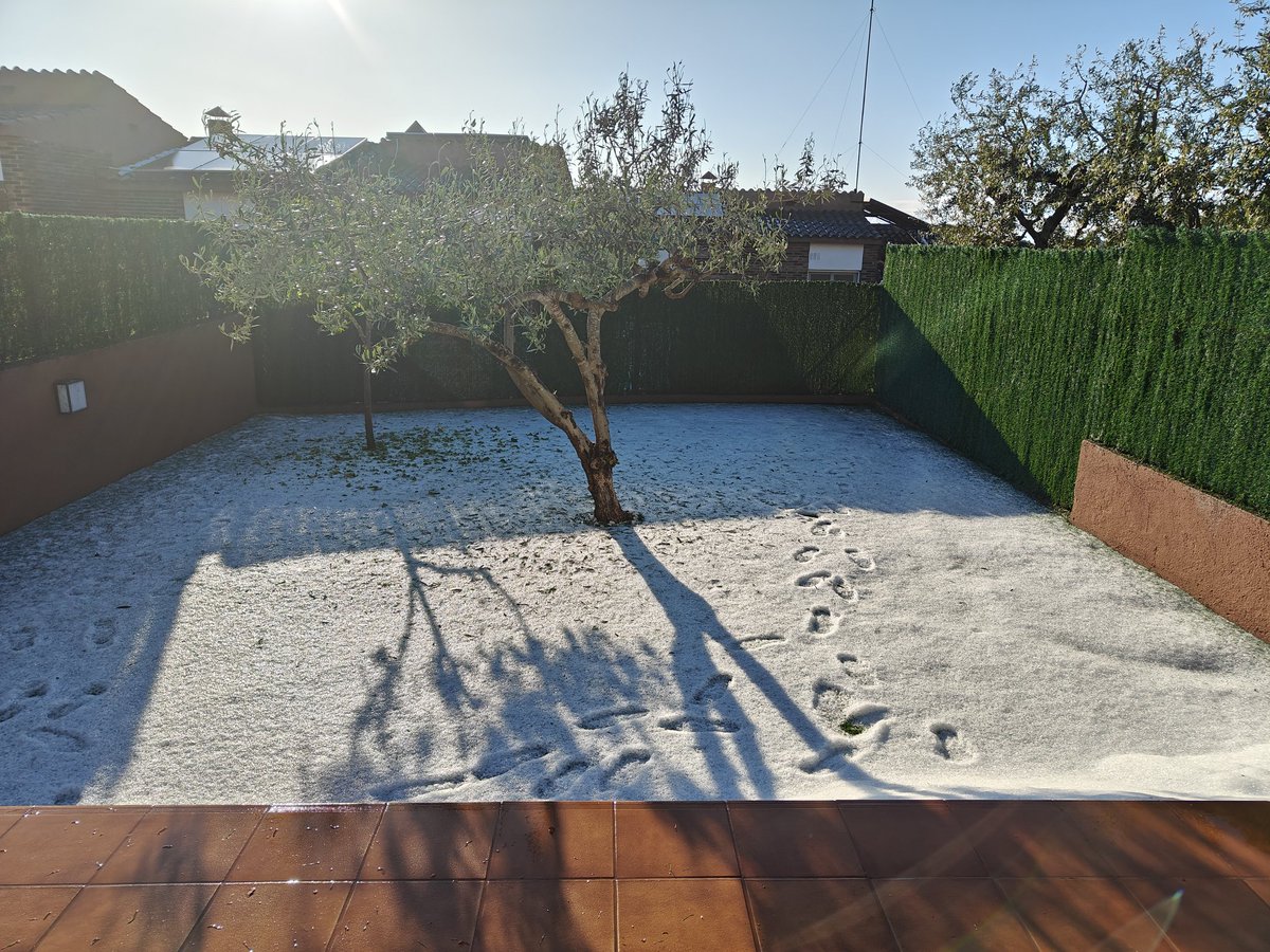 martarj27's tweet photo. L'endemà de la calamarsada a #Altafulla a casa i a l'entrada de l'escola.
@eltempsTV3 @P4Estacions @tac12_tv @meteocat https://t.co/Ox7HcM4rkA