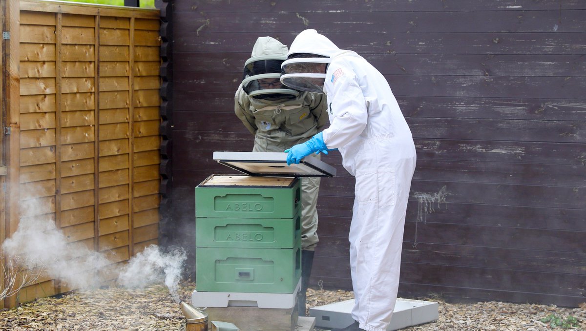 Norwich School's beekeeping club is buzzing, with funding from @NorSchFriends playing a huge part 🐝🐝🐝⁠ ⁠ Find out more: tinyurl.com/46634pcs ⁠ #thevoiceofbeelief #oneschoolmanyvoices