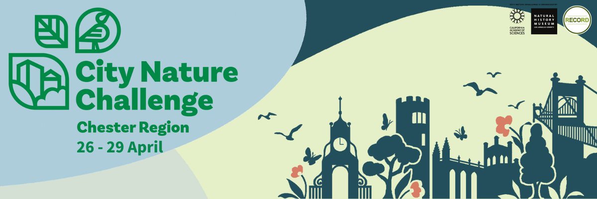 🌳 @RECORDLRC is calling on the people of #Chester and beyond to take part in an epic nature challenge, 26 - 29 April 2024. 🐦 Can you help put Chester on the map for wildlife? Find out how to join in at 👉 cwac.co/H7lsG #ChesterHour