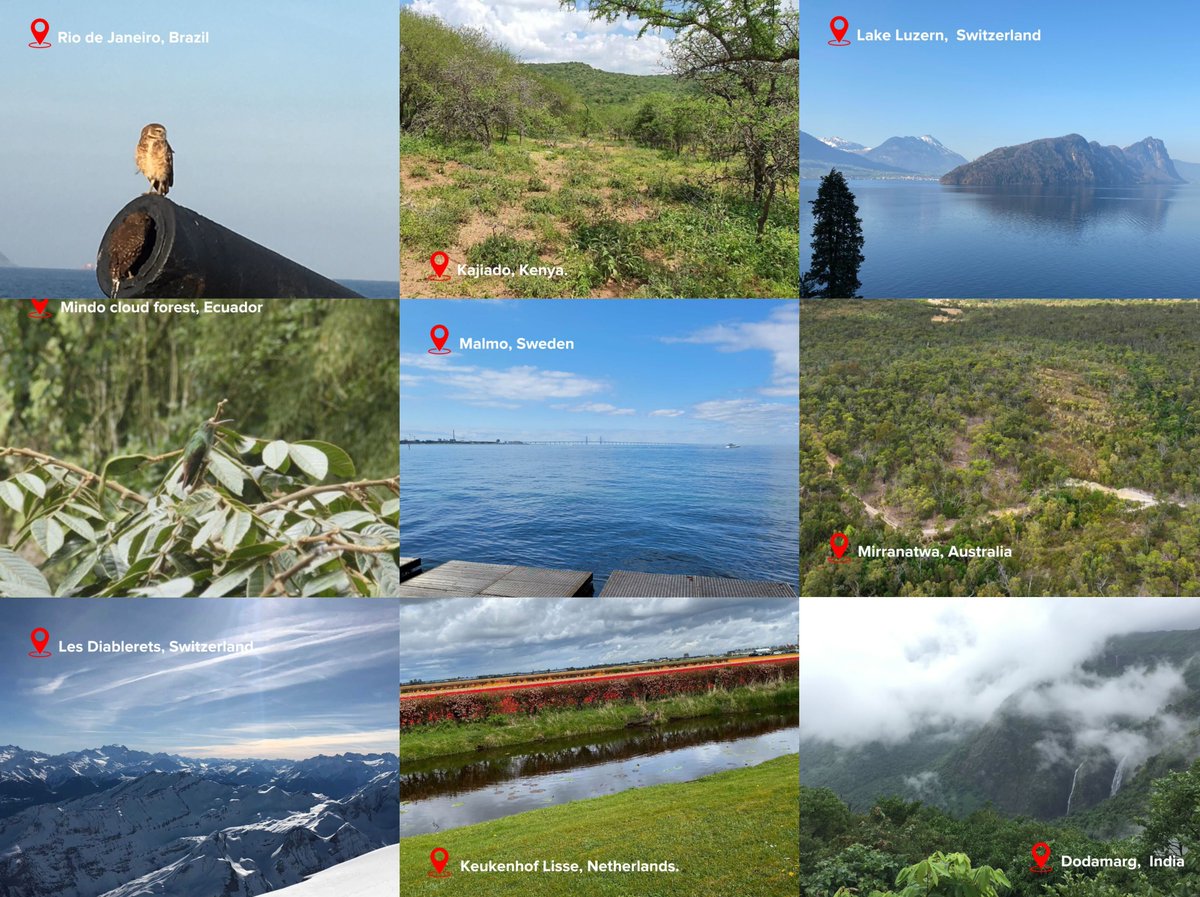Yesterday was #EarthDay! 🌎 We took the opportunity to add some joy and inspiration to work. After all, part of the reason we do this work is to protect the people, beings and places we love. So we filled the internet with the natural places we’d love to protect. #NuclearBan