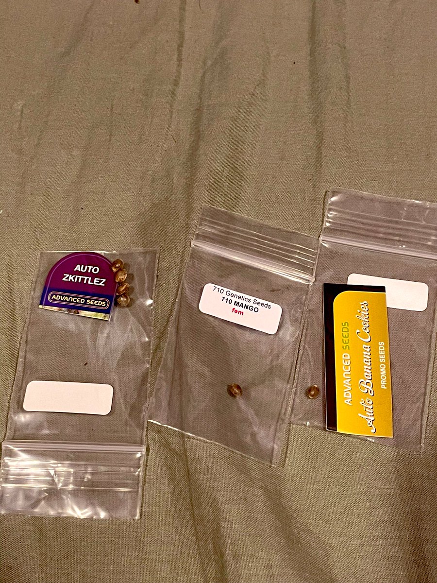 SkipThinks's tweet photo. @attitudeseeds went above and beyond on my first order with them. 🔥🙏🫡 
Bunch of extra surprise seeds! Cant wait to see these babies grow 🌱🪴🥦💚
#GrowYourOwn #ProvideForYourself https://t.co/SKgaiIRV6x