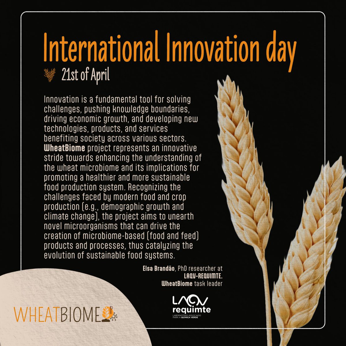 wheatbiome's tweet photo. We keep on celebrating #InternationalInnovationDay 💫🌾
 
For the #WheatBiomeTeam, #innovation is why society moves forward. #WheatBiome project means to promote "a healthier and more sustainable food production system".

Elsa Brandão, PhD researcher at #REQUIMTE  ⬇️ https://t.co/XEeGIISUa5