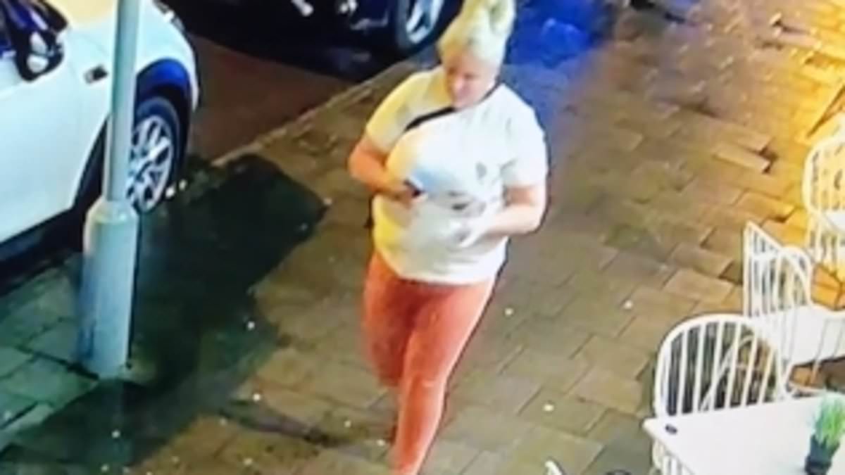 Police arrest man and woman after chasing serial 'dine and dashers' wanted over 'food thefts' at string of restaurants - with CCTV showing female 'doing a runner after asking where nearest cashpoint was' trib.al/jM3GdKX