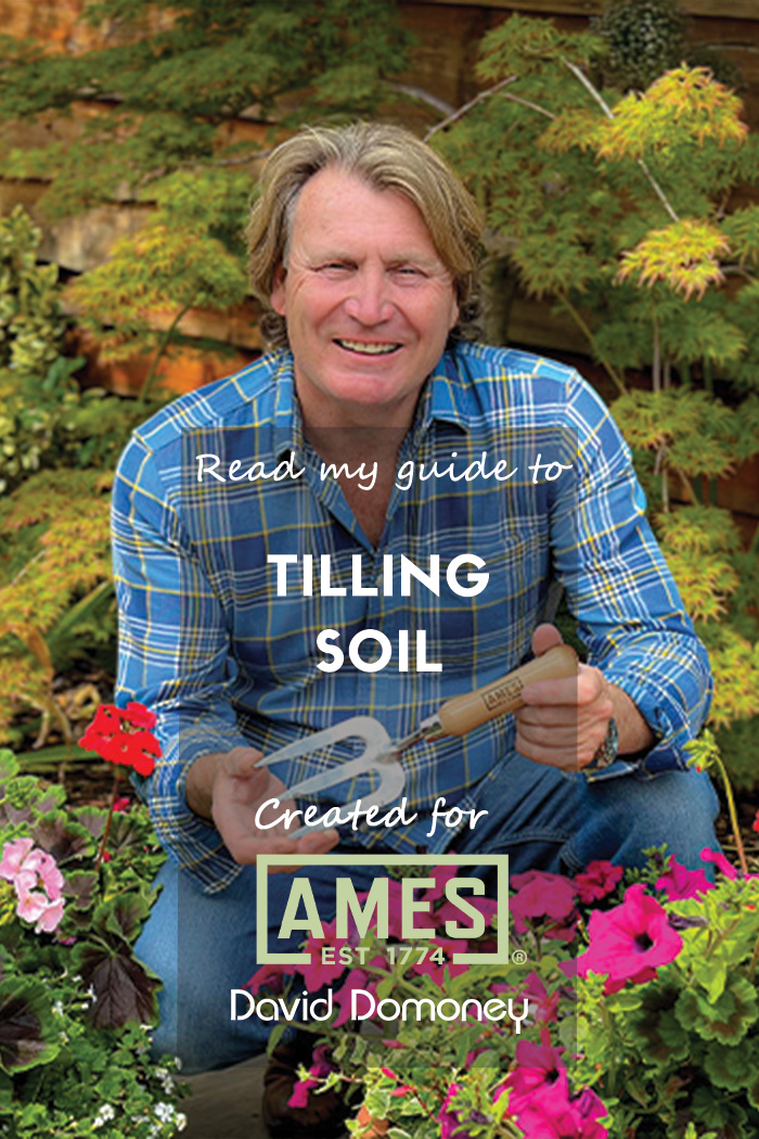 #ad Producing a fine tilth over the surface of your soil is a great practice when you’re preparing your garden for planting and sowing in spring. Ensuring your soil is in good condition will do the world of good for your garden... 👉 bit.ly/3T2qth0 #paidpartnership