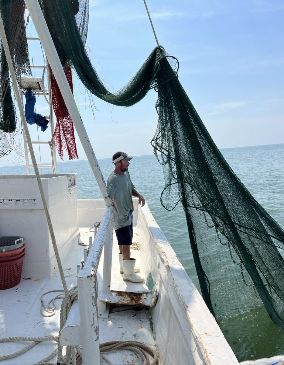 Good morning, Charleston! Buying local supports our shrimpers! It’s also so fresh coming straight off the docks. 🛥️🦐🦐🦐