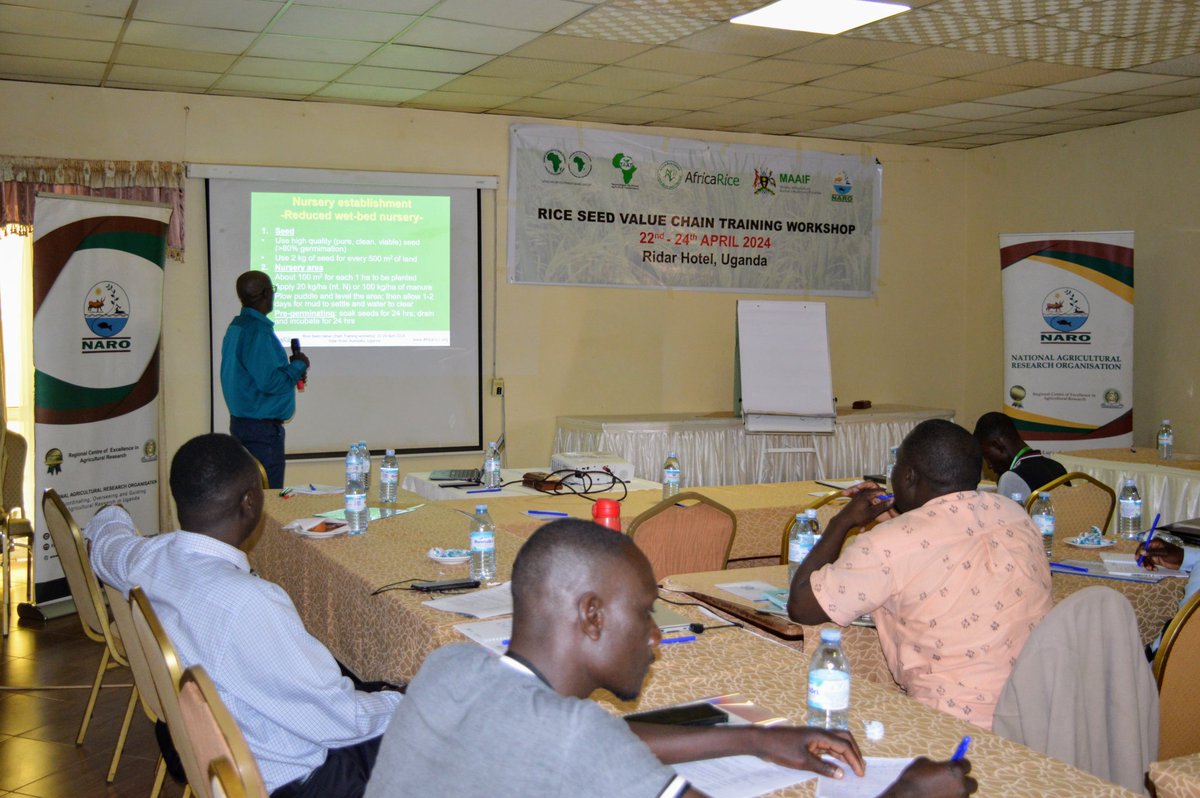 NARO_NaCRRI's tweet photo. "Unlocking the potential of rice seeds! 🌾 Rice Seeds Value Chain Training Workshop April 2024, led by the esteemed Dr. Said u Bah, seeds system expert (Africa Rice). Let's cultivate knowledge together!
@narouganda @AfricaRice @MAAIF_Uganda #RiceSeeds #ValueChain #Expertise" https://t.co/WM5H7r7MXO
