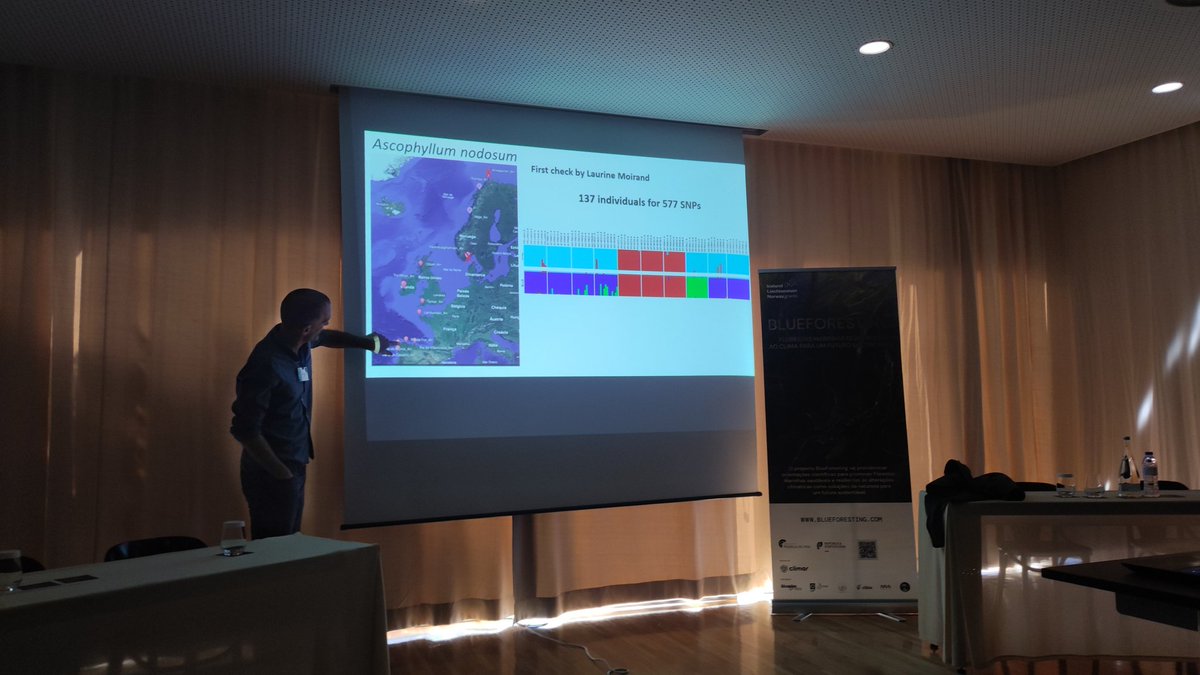 It's ON! Morning session of the Final Event of the Blueforesting project. Today our partners will showcase their results 👨‍💻