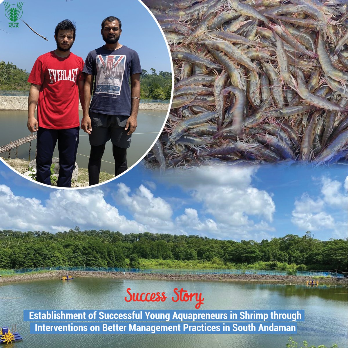 Establishing Successful Young #Aquapreneurs in #Shrimp through Interventions on Better Management Practices in South #Andaman #Agriculture #ICAR @PMOIndia @mygovindia @PIB_India @AgriGoI @DDKisanChannel @Dept_of_AHD @WorldFishCenter Read more:icar.org.in/node/20733