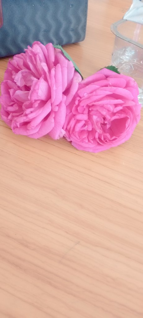 من انت نفسيتك زفت الصبح
ويتلكونك. بهذا الورد ❤️