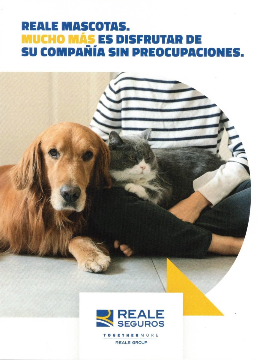 RealeTorrevieja's tweet photo. Las #mascotas son integrantes de la familia. Por eso y por la gran responsabilidad que es tenerlos con nosotros en casa #Reale nos ofrece un seguro para que disfrutemos de su compañía sin preocupaciones.
Dirígete a nuestra oficina para + información y pregunta por #RealeMascotas. https://t.co/yMl54VJPVb