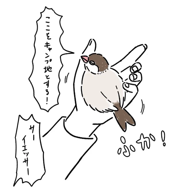 文さんの拠点 