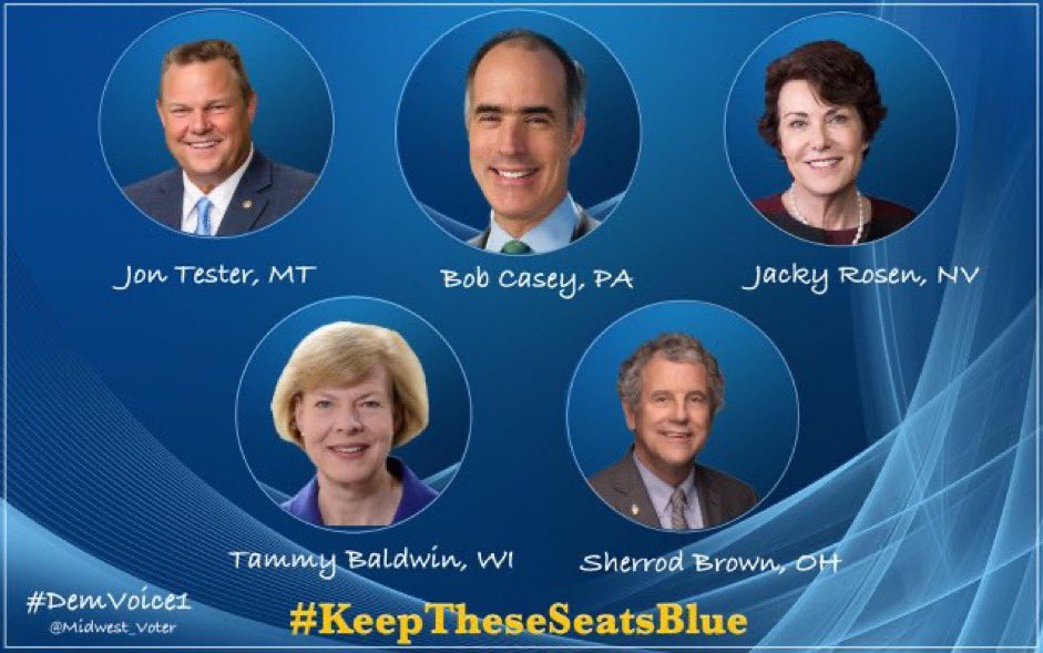 @KatrinaforND #DemVoice1 #ResistanceBlue #wtpBLUE #DemsAct #DemsUnited MT/PA/NV/WI/OH: Keep your Senator! All are respected voices in the Senate All have stellar records of working for: Workers rights/Local industry/ Infrastructure/Clean Energy / Healthcare/Education/Abortion Access