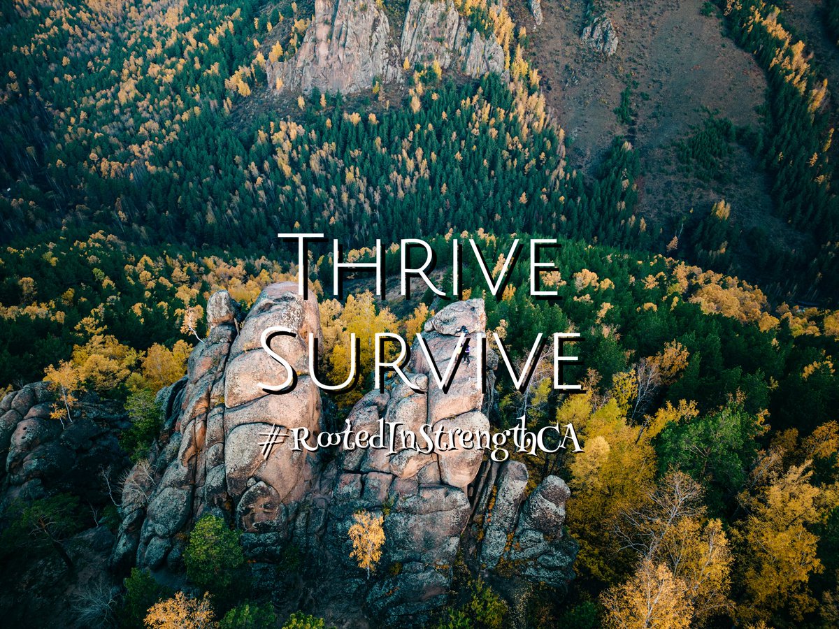 In your dark moments and through the depths of your despair God will not only help you Survive but will make you Thrive through and from your circumstances. Focus less on the Surviving and more on the Thriving for God is with you. 
Psalms 23:4-5 
#RootedInStrengthCA