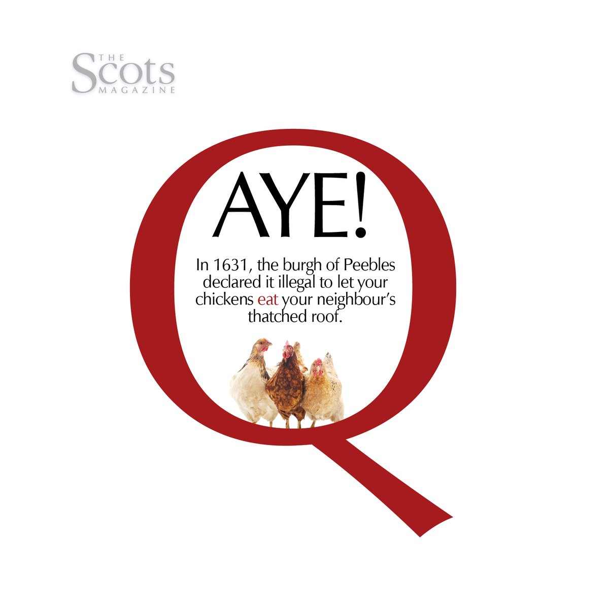 As they should! Discover more fascinating Scottish trivia over on our website. #scotsmagazine #trivia #ScottishHistory