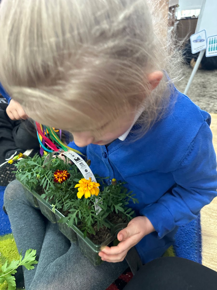 We have been using our senses to explore some plants from Joe’s extraordinary garden. We noticed some of the herbs had strong smells and some of the petals had patterns. 
<a href="/stsilasschool/">St Silas CE Primary School</a>  #SilasScience
