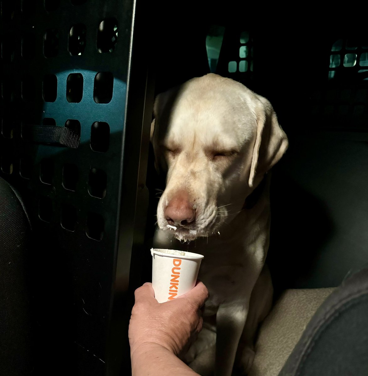 Customary pup cup before the start of a long road trip. #firstresponderspack #roadtrip #grateful #dunkin #giveback #makeadifference
