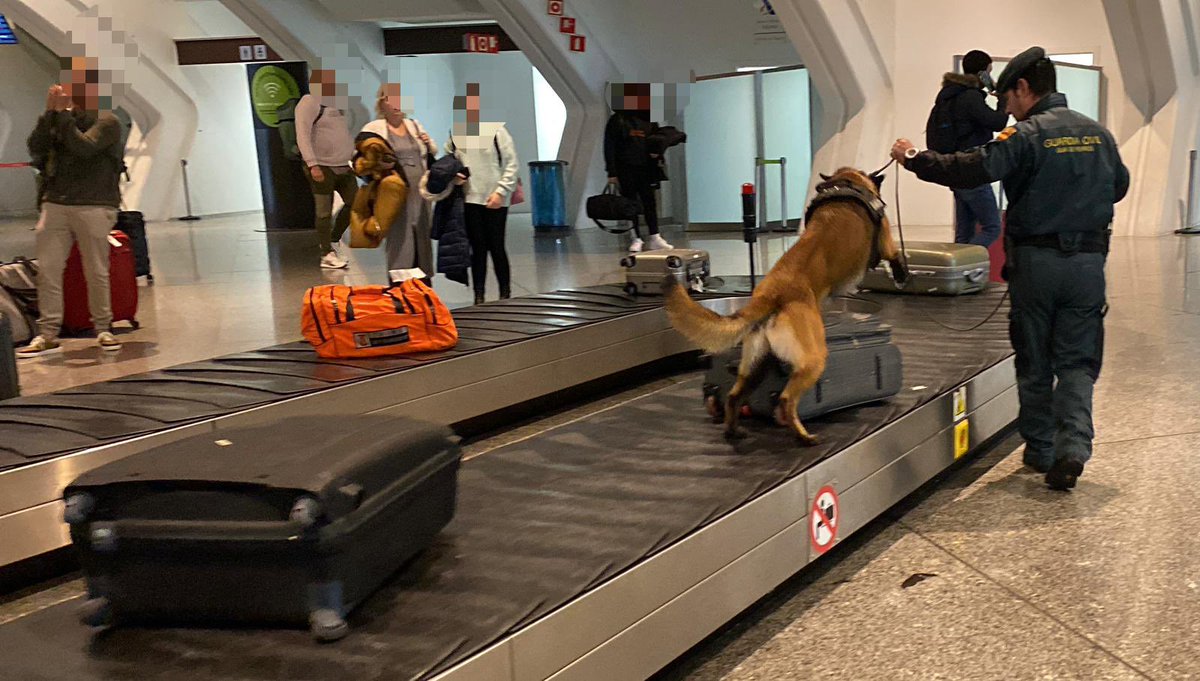 (1/2)
👮‍♂️🐕 El #serviciocinologico de la @gcivilbizkaia es necesario en las inspecciones fiscales y los servicios de seguridad prestados en el #aeropuertodebilbao.

💚🫡 Se emplean a fondo en cumplir su misión.
#ParaServirYProteger 
#FiscalyFronteras 
#ResguardoFiscaldelEstado