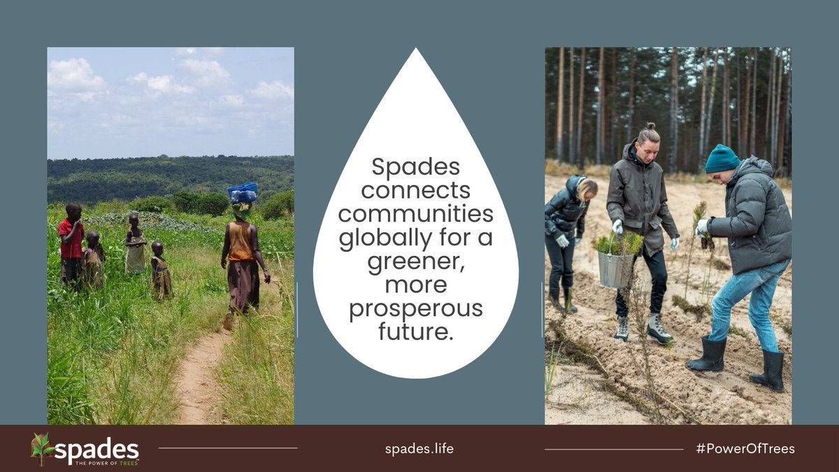 spades_sbc's tweet photo. Spades connects communities globally for a greener, more prosperous future. Learn more at https://t.co/SINHP3jbF5 #Restore #Empower #Engage #SavethePlanet #PowerOfTrees https://t.co/r3XRfEQ9Lt