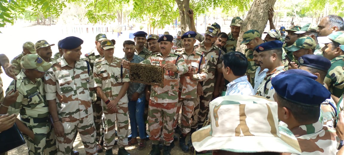 BSF troops in Gujarat Ftr buzzing with excitement as they launch Beekeeping Mission!

#BeeKeepingMission #DutyBeyondBorder #LokSabhaElections2024 #BREAKING #honey #TeJran