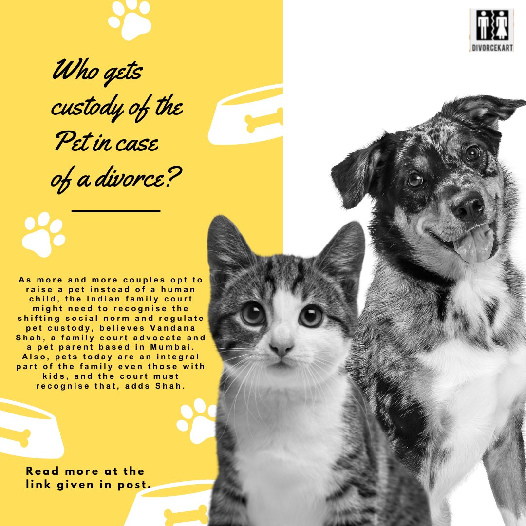 Advocate Vandana Shah in News👇 Who gets custody of the pet in case of a divorce? 👉Read here: lifestyle.livemint.com/relationships/… #pets #divorce #divorcecase #petcustody #law #vandanashah #advocate
