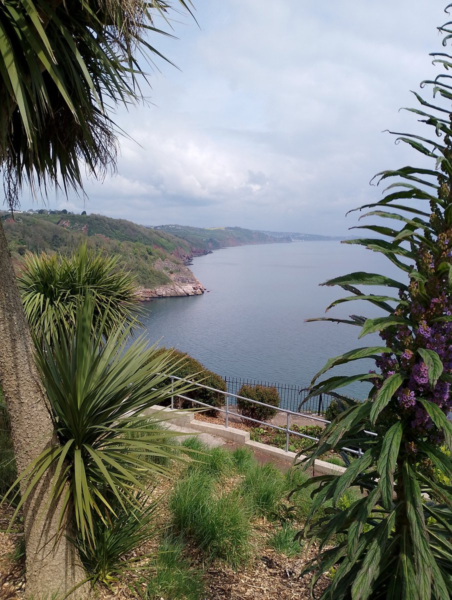 Sort of casual stroll up from Torquay to Babbacombe for a much needed rest'n lunch 👌🏻🌊⛅🥃💜 Views over Oddicombe beach