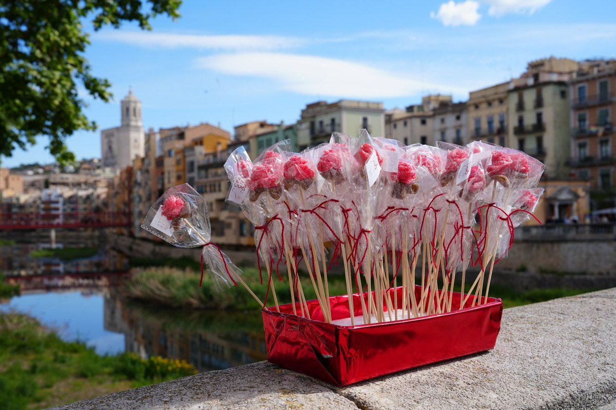 Alcalde de Girona tweet media