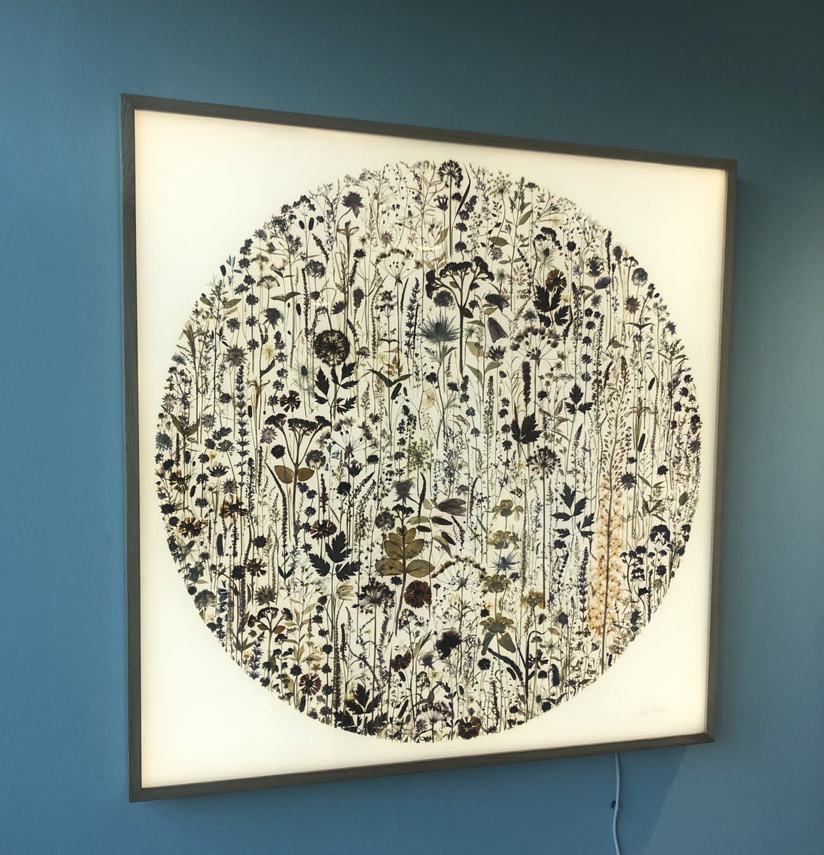 Susie Hall tweet media