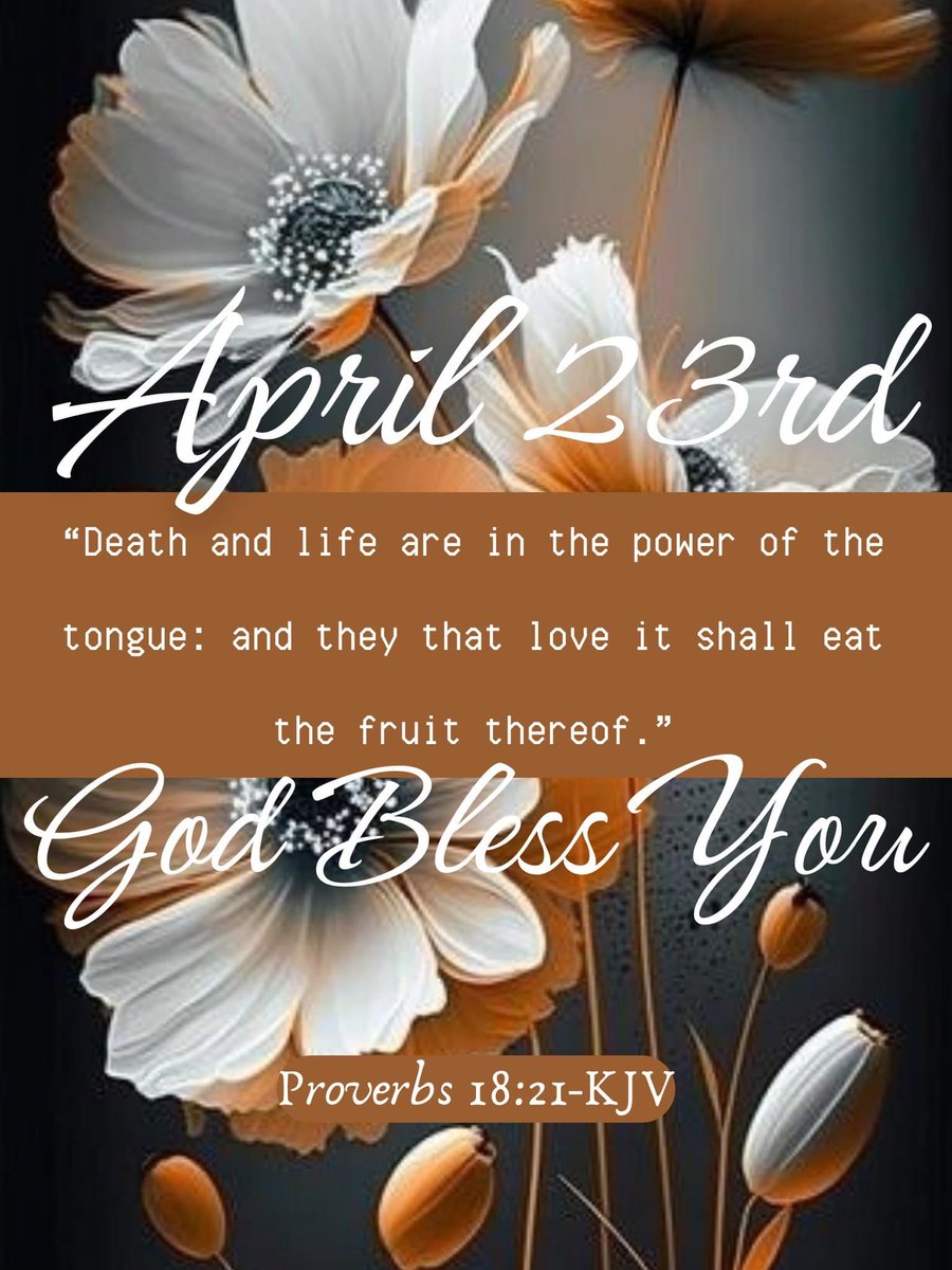 Stephen Gerard tweet media