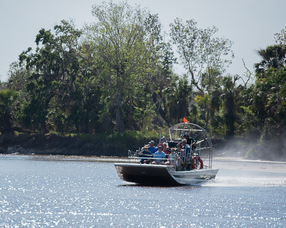 When you hop aboard an airboat or swamp buggy tour, you'll learn about the Peace River ecosystem, the plants and wildlife that inhabit the river, and so much more! 🐟Our knowledgeable Captains make learning fun! Book here: peacerivercharters.com #peaceriver #airboat #visitfloria