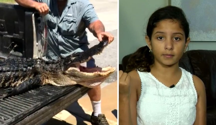 In 2017, a 10-year-old Florida girl Juliana Ossa fought off a deadly alligator attack by sticking two fingers up the alligator's nose. This forced the alligator to open its mouth to breathe, which freed the girl's leg and let her escape. She said that she learned the trick from…