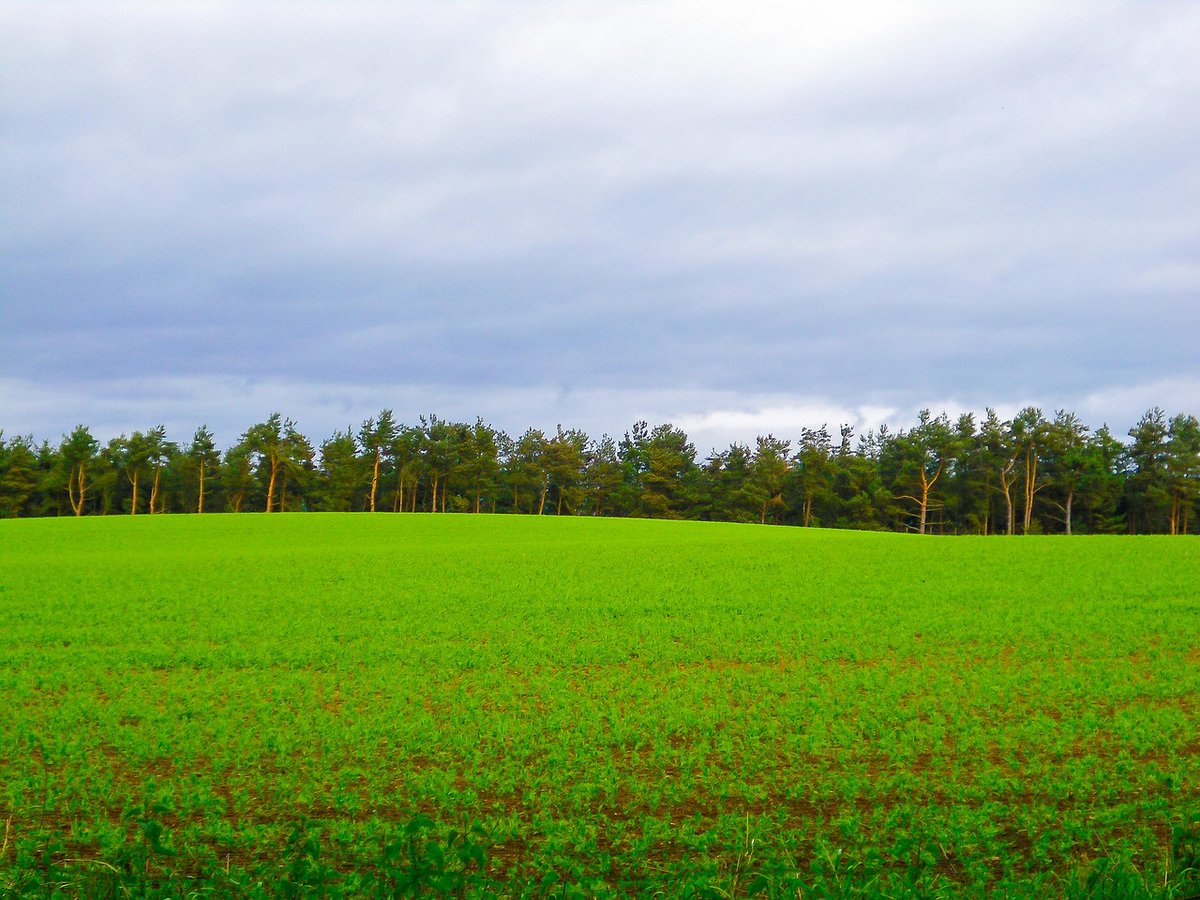 Will Land Reform be a barrier to investment in Scotland? 👨‍🌾 In our latest 𝗻𝗮𝘁𝘂𝗿𝗮𝗹 𝗰𝗮𝗽𝗶𝘁𝗮𝗹 𝘂𝗽𝗱𝗮𝘁𝗲, Rose Nash looks at what the new proposed Land Reform bill could mean for the rural property sector📲 loom.ly/GWzXOAI #Galbraith | #LandReform