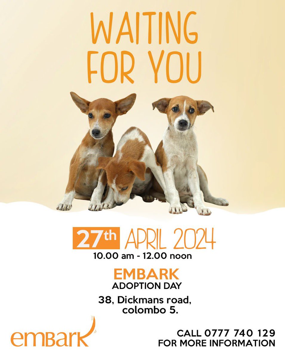 A furry family member will make your home a happier place🐶💕 Visit us this Saturday at No. 38, Dickmans Road, Colombo 05 from 10 am to 12 noon and choose to adopt✨ #Embark #AdoptDontShop #SriLanka