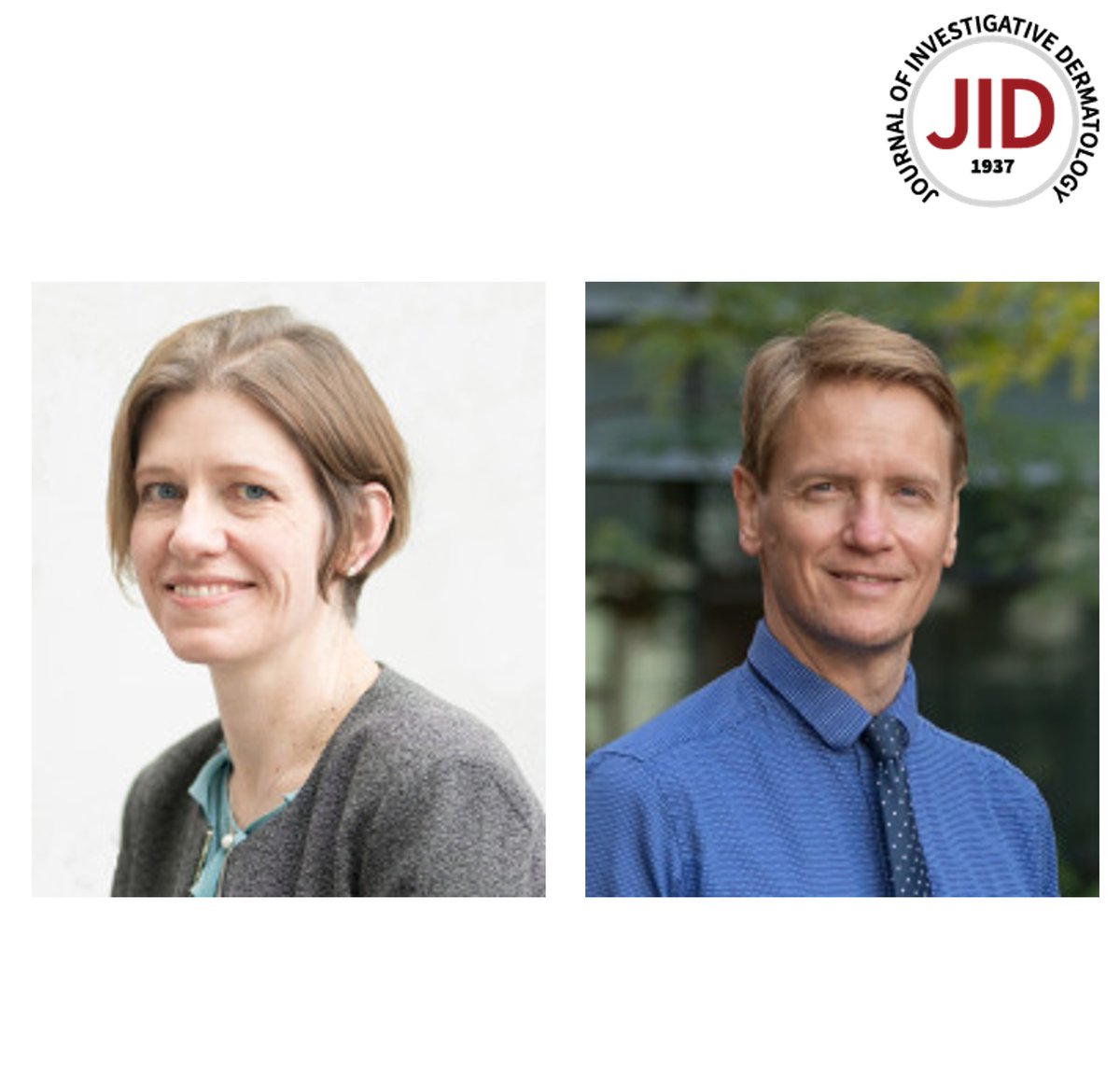 Read the May issue Editorial from JID Editors Sara J Brown (MTSR Editor) @drsarabrown and Johann E Gudjonsson (Reviews Editor):
Halting the Vicious Cycle of #atopicdermatitis: Empowered by Scientific Understanding
doi.org/10.1016/j.jid.…

#dermtwitter #dermatology #dermscience