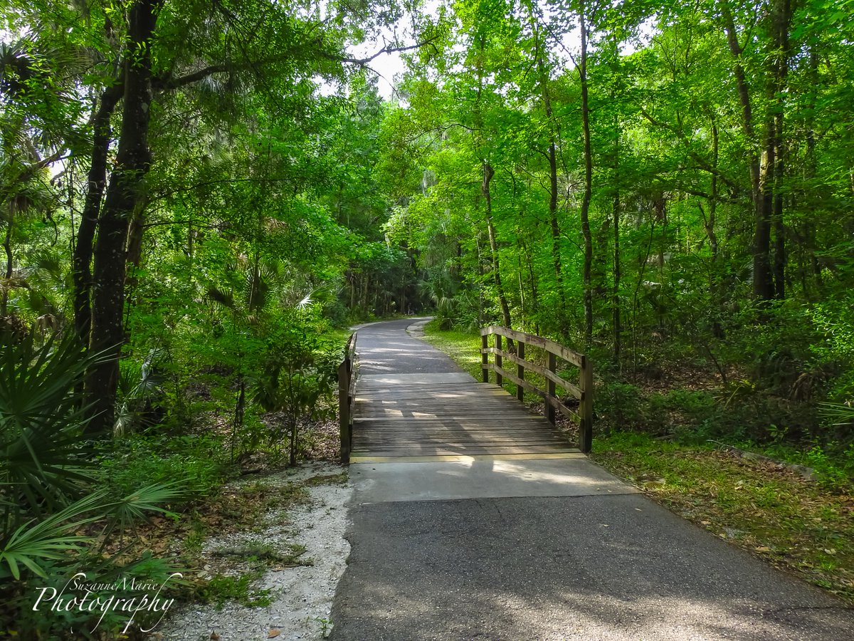 Path in the Woods

#landscapephotography #landscapeoftheday #landscapelover #landscapephoto #landscapecaptures #landscapephotographer #travelphotography #photography #plantcity #florida #tampa #naturephotographer #naturephotography