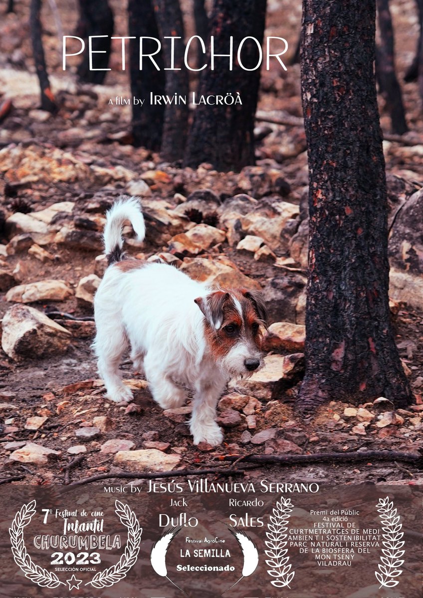 Festival SOCIALMED tweet media